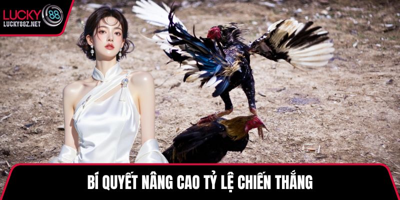 Bí quyết nâng cao tỷ lệ chiến thắng