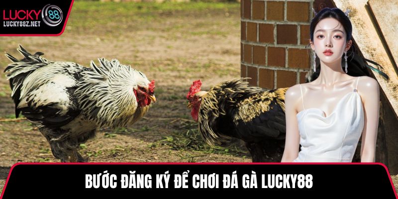 Bước đăng ký để chơi đá gà LUCKY88