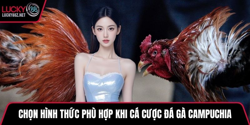 Chọn hình thức phù hợp khi cá cược đá gà campuchia