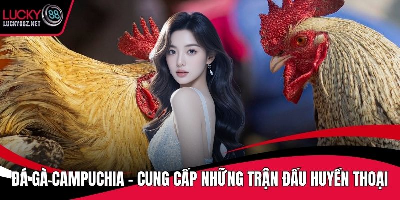 Đá gà campuchia