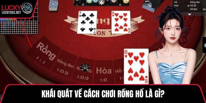 Khái quát về cách chơi rồng hổ là gì?