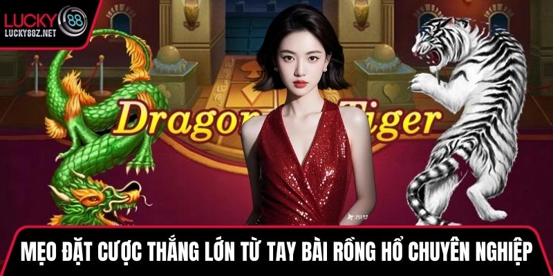 Mẹo đặt cược thắng lớn từ tay bài Rồng Hổ chuyên nghiệp